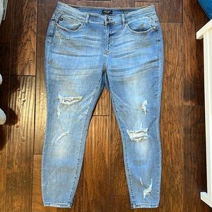Judy Blue Skinny Fit Distressed Jeans 20W